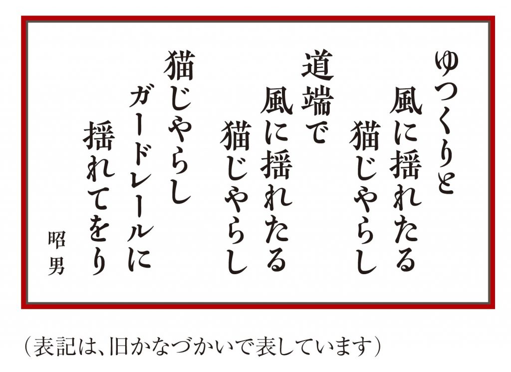 俳句コーナーVOL.2 さあ、自然の中へ出てみましょう | City Life NEWS