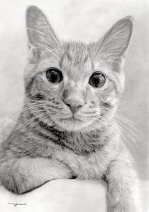 愛猫が叶えた画家の夢 鉛筆画家 西方さん初の画集出版 City Life News