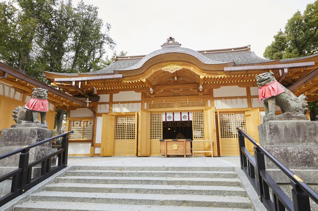 【茨木神社】新しくなった本殿にご挨拶を | City Life NEWS