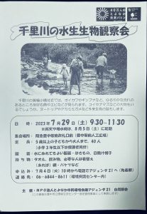 -豊中市-自由研究にも　7月29日「千里川の水生生物観察会」7月30日「公園でセ…