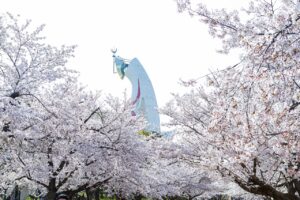 -万博記念公園-SAKURA EXPO2025　3月20日（木・祝）〜4月6日（…