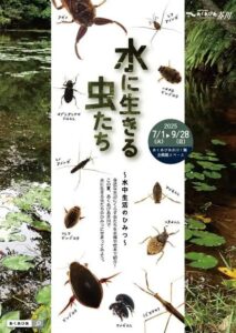 -高槻市-あくあぴあ芥川で水中で生活する虫の呼吸方法や暮らし方を学べる企画展を開…