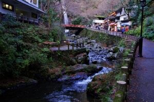 ‐箕面市‐　～森をきれいに、心もリフレッシュ～ 新しい観光体験「箕面の森 Win…